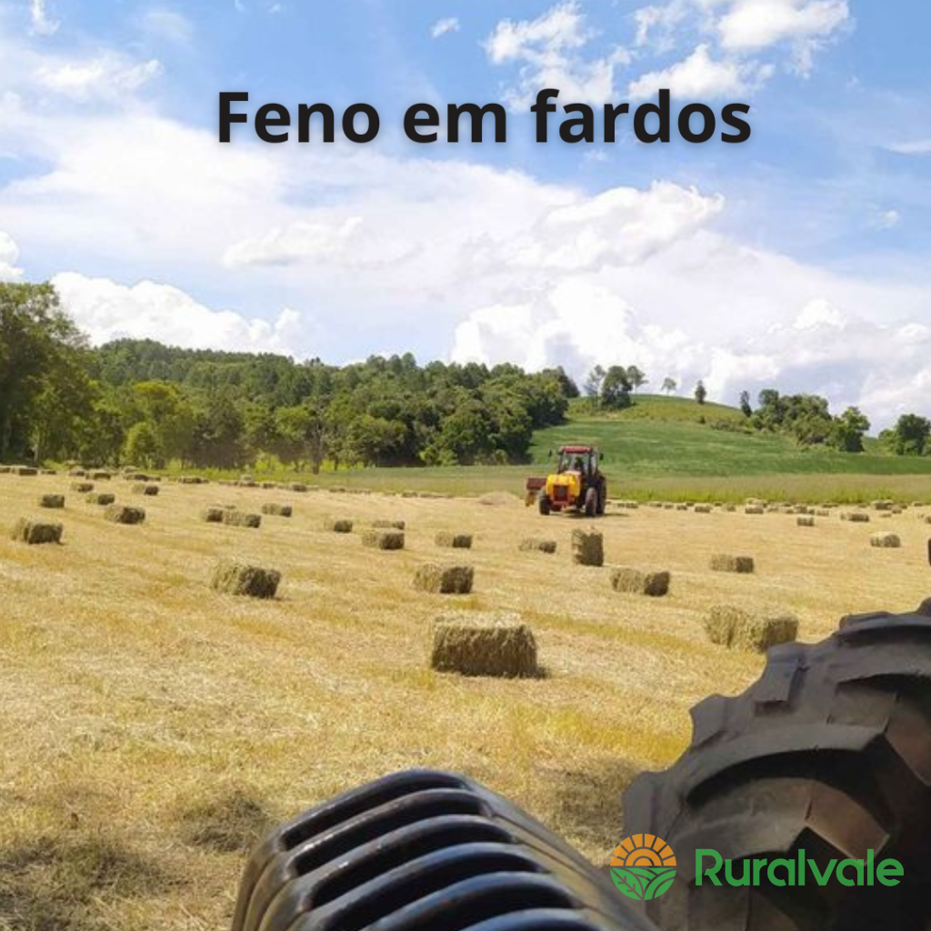 Feno em fardo Jiggs