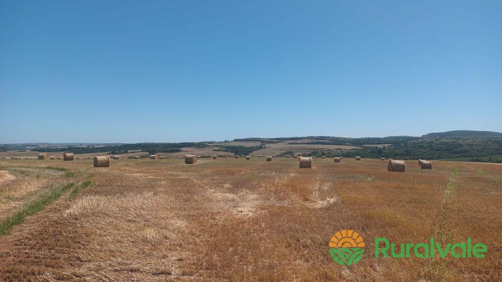 Rolão de Palha de Trigo