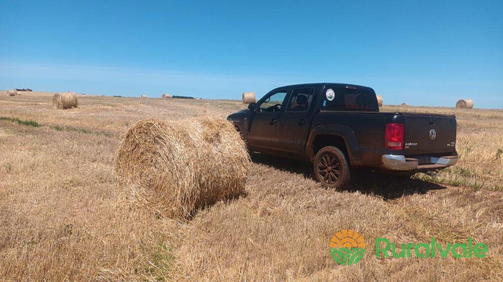 Rolão de Palha de Trigo