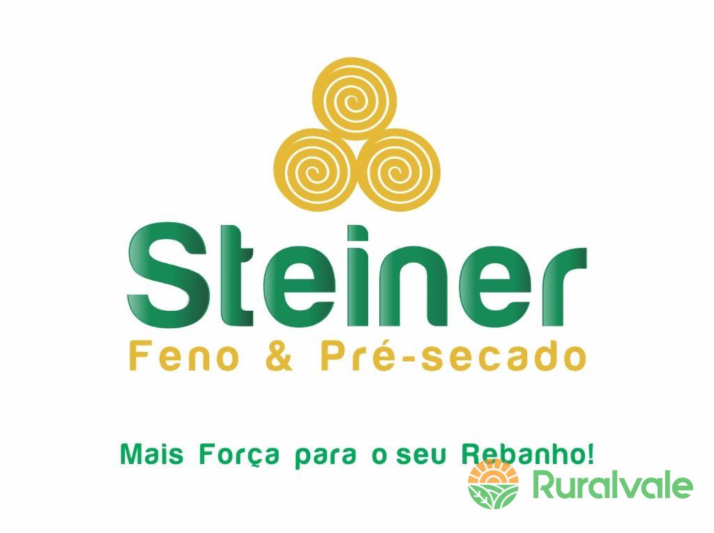 STEINER - FENOS E PRE SECADO